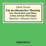 Ein mexikanischer Mustang. Aus: Durch Dick und Dünn: Leben auf dem Mississippi