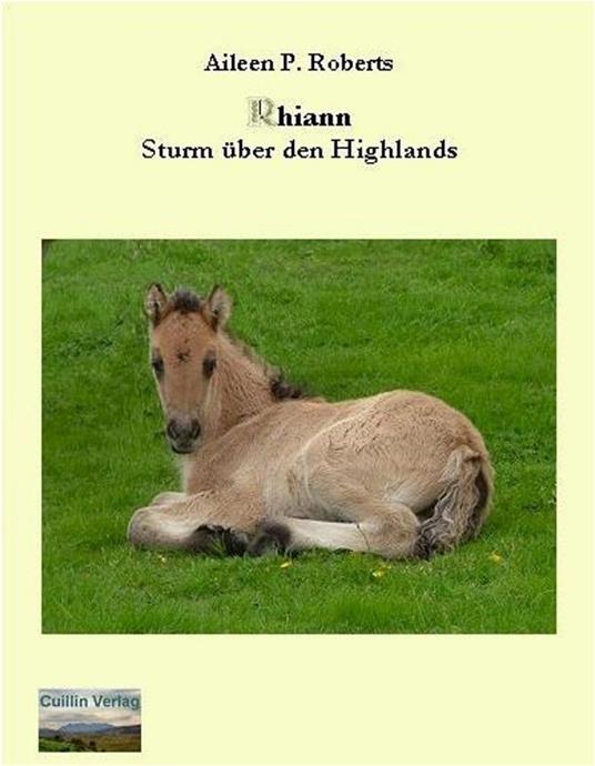Rhiann - Sturm über den Highlands - Aileen P. Roberts - ebook