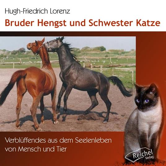 Bruder Hengst und Schwester Katze