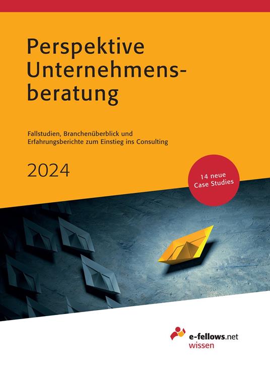 Perspektive Unternehmensberatung 2024