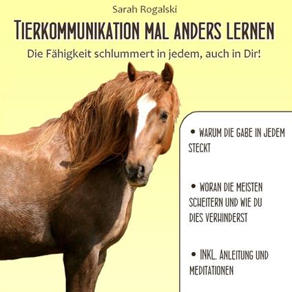 Tierkommunikation mal anders lernen