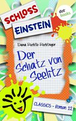 Schloss Einstein - Band 12: Der Schatz von Seelitz