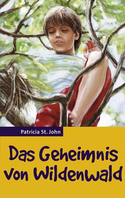 Das Geheimnis von Wildenwald - Bibellesebund,John Patricia St,Elisabeth I. Aebi - ebook