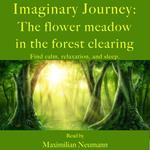 Imaginary Journey: The flower meadow in the forest clearing