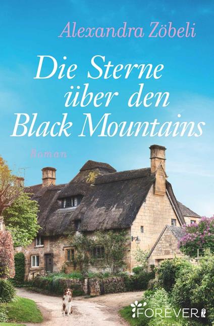 Die Sterne über den Black Mountains