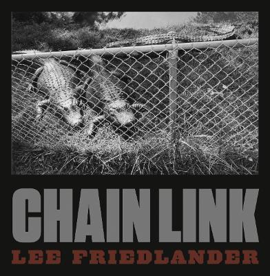 Lee Friedlander: Chain Link - Lee Friedlander - cover