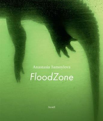 Anastasia Samoylova: FloodZone - Anastasia Samoylova - cover