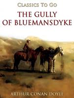 The Gully of Bluemansdyke