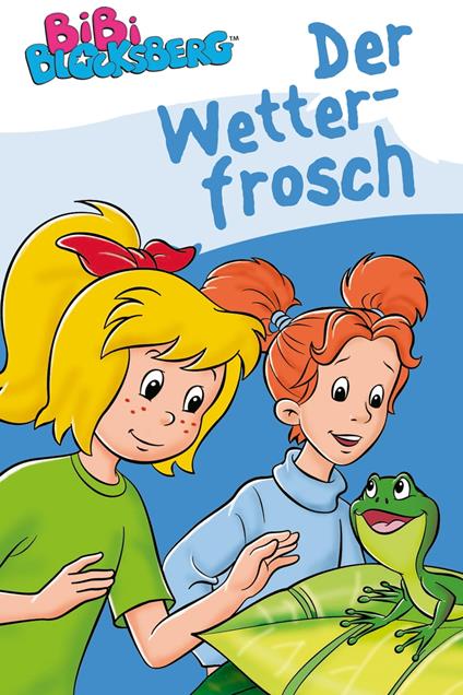 Bibi Blocksberg - Der Wetterfrosch - Stephan Gürtler,Ulli Herzog,Ulf Thiem,Jutta Langer - ebook