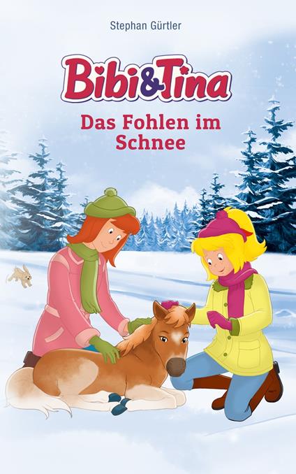 Bibi & Tina - Das Fohlen im Schnee - Stephan Gürtler - ebook