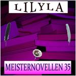 Meisternovellen 35