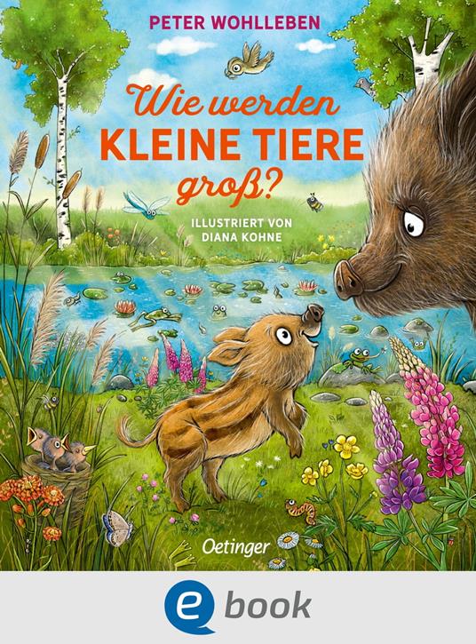 Wie werden kleine Tiere groß? - Peter Wohlleben,Diana Kohne - ebook