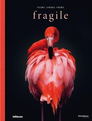 Fragile - Pedro Jarque Krebs - cover