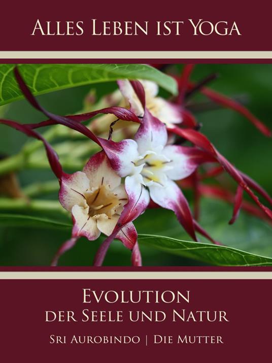 Die Evolution der Seele und Natur