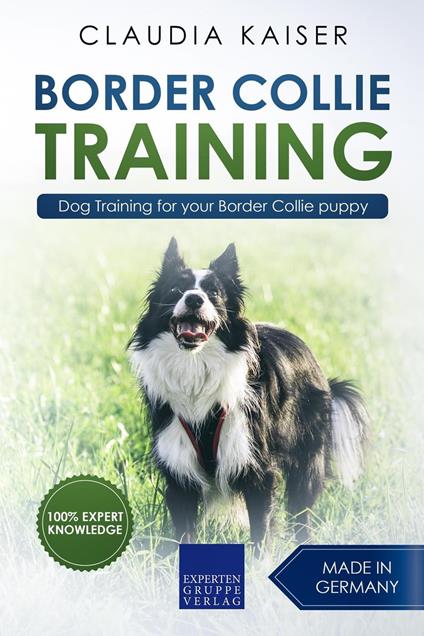 Border Collie Training - Dog Training for your Border Collie puppy