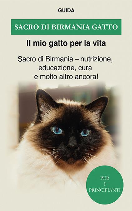 Sacro di birmania gatto - Guida Il mio gatto per la vita - ebook