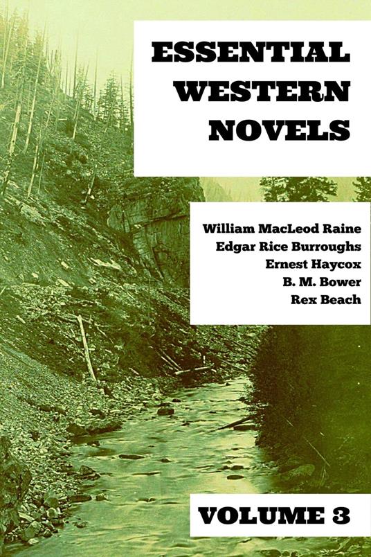 Essential Western Novels - Volume 3