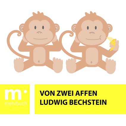 Von zwei Affen - Bechstein Ludwig - ebook