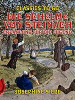 Die Schelme von Steinach, Erzählung für die Jugend