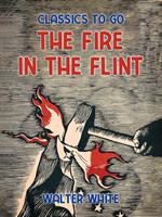 The Fire in the Flint