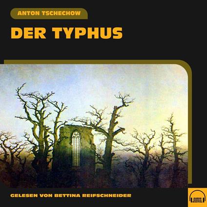 Der Typhus