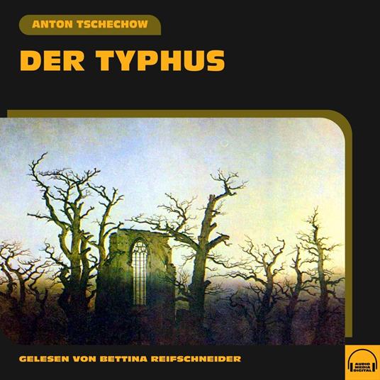 Der Typhus