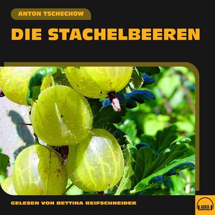 Die Stachelbeeren