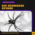 Die schwarze Spinne