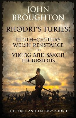 Rhodri's Furies: Ninth-century Welsh Resistance to Viking and Saxon incursions - John Broughton - cover