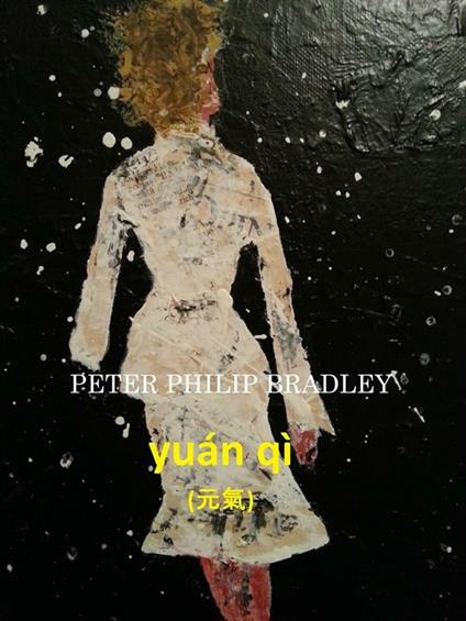 Yuán qì (C#) - Peter Philip Bradley - ebook