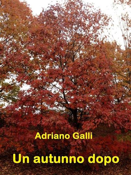 Un autunno dopo - Adriano Galli - ebook