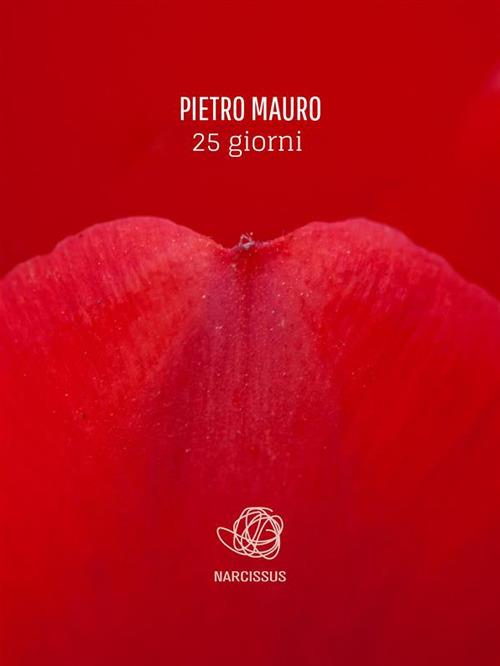 25 giorni - Pietro Mauro - ebook