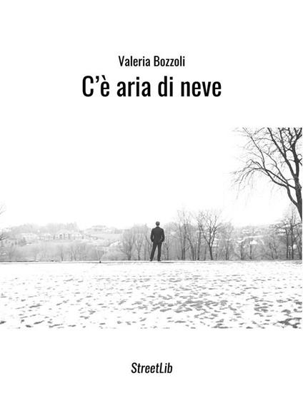 C'è aria di neve - Valeria Bozzoli - ebook