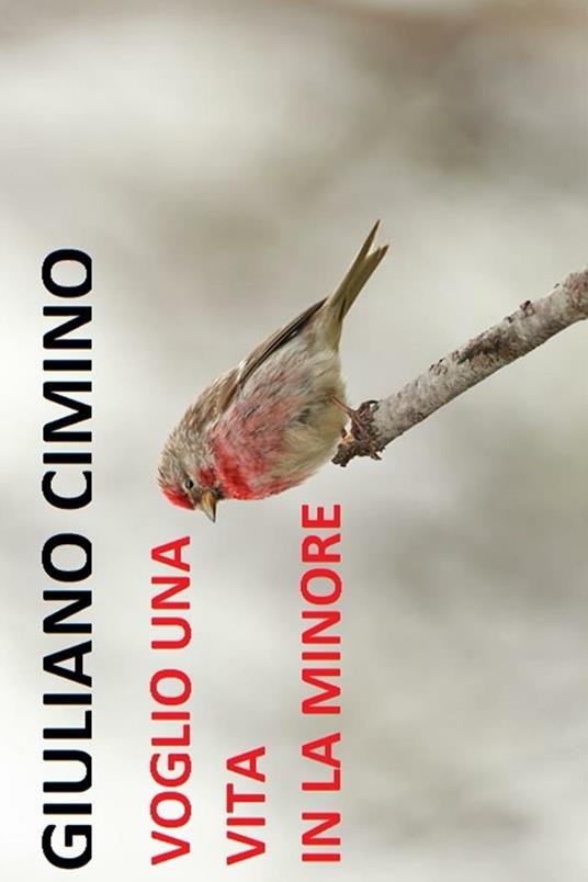 Voglio una vita in la minore - Giuliano Cimino - ebook