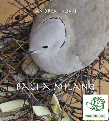 Baci a Milano - Andrea K2mi - ebook