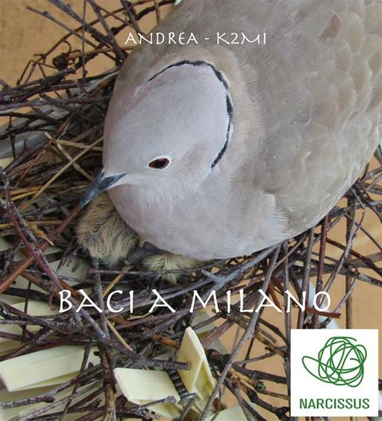 Baci a Milano - Andrea K2mi - ebook