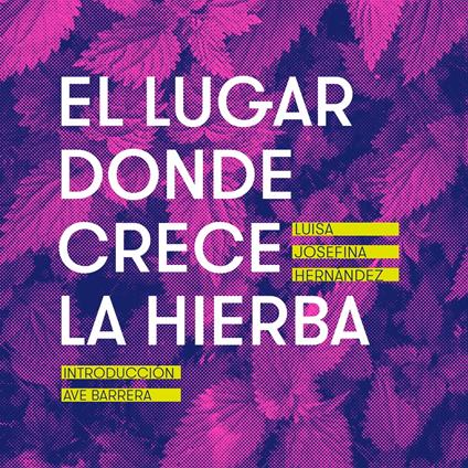 El lugar donde crece la hierba