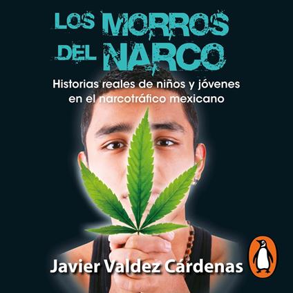 Los morros del narco