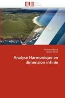 Analyse Harmonique En Dimension Infinie