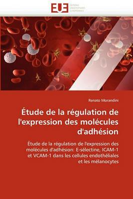 tude de la R gulation de l'Expression Des Mol cules d'Adh sion - Morandini-R - cover