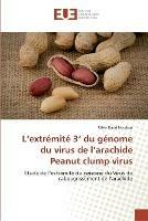 L extremite 3 du genome du virus de l arachide peanut clump virus