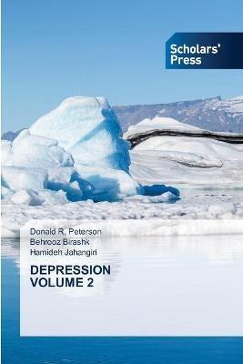 Depression Volume 2 - Donald R Peterson,Behrooz Birashk,Hamideh Jahangiri - cover