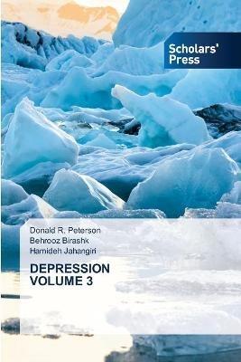 Depression Volume 3 - Donald R Peterson,Behrooz Birashk,Hamideh Jahangiri - cover