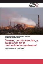 Causas, consecuencias, y soluciones de la contaminacion ambiental