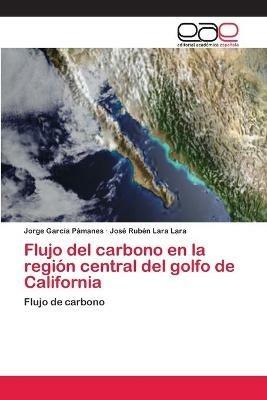 Flujo del carbono en la region central del golfo de California - Jorge Garcia Pamanes,Jose Ruben Lara Lara - cover