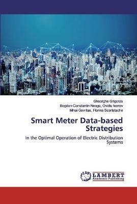 Smart Meter Data-based Strategies - Gheorghe Grigoras,Bogdan-Constantin Neagu Ovidiu Ivanov,Mihai Gavrilas Florina Scarlatache - cover