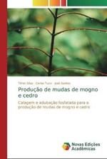 Producao de mudas de mogno e cedro