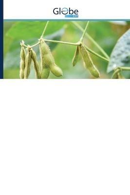 Rainfall variability and risks of droughts during soybean cultivation - Luiz Gustavo Batista Ferreira,Nathan Felipe Da Silva Caldana,Paulo Henrique Caramori - cover