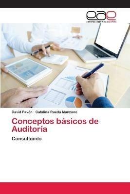 Conceptos basicos de Auditoria - David Pavon,Catalina Rueda Manzano - cover