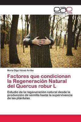 Factores que condicionan la Regeneracion Natural del Quercus robur L - Maria Olga Vizoso Arribe - cover